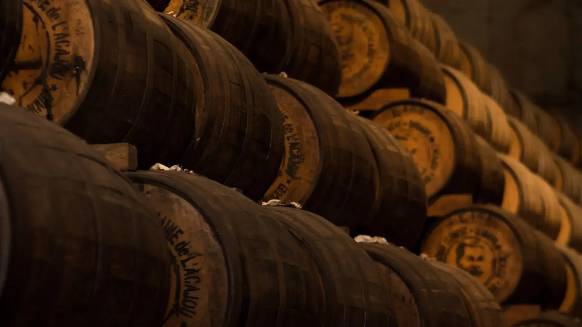Oak barrels stacked high in a dim cellar, their stamped heads catching warm amber light