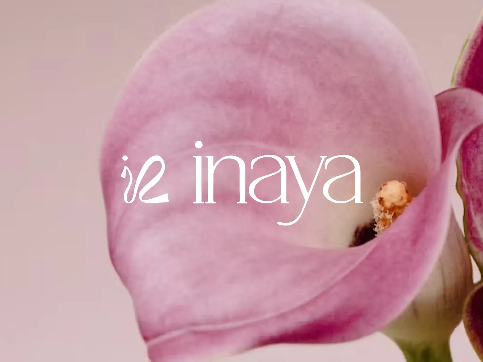 The Inaya logo in white over a close-up of a pink calla lily